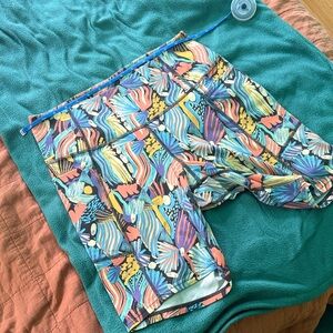 Patagonia Maipo Large Shorts